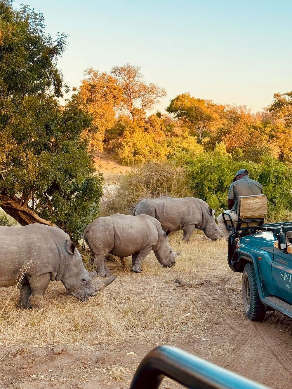 Our consultant Mel arranged this 5-star safari for our guest Emily and her Mom from the US who spent 4 nights in Simbavati Hilltop and took fabulous photos