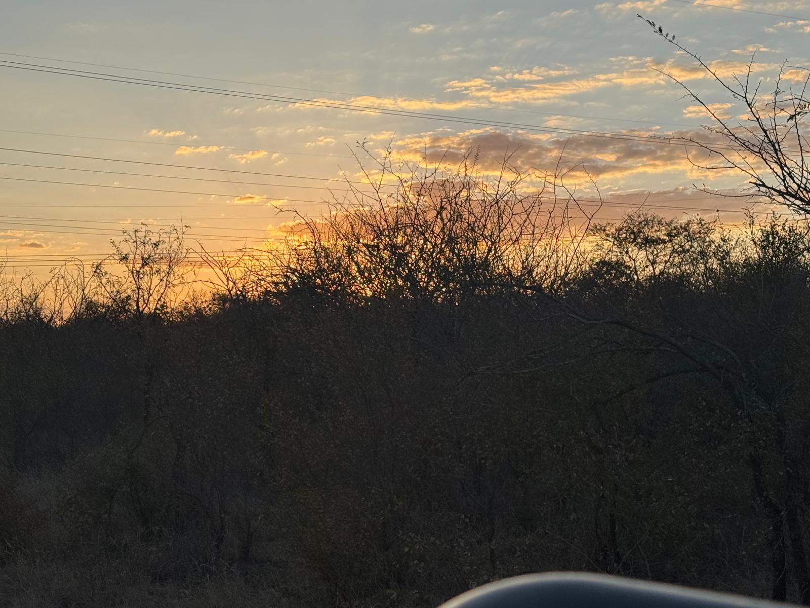 Incredible photos captured by one of our guests during their unforgettable stay in Kapama Private Game Reserve—from the heart of Southern Camp to the luxury of Karula Lodge.