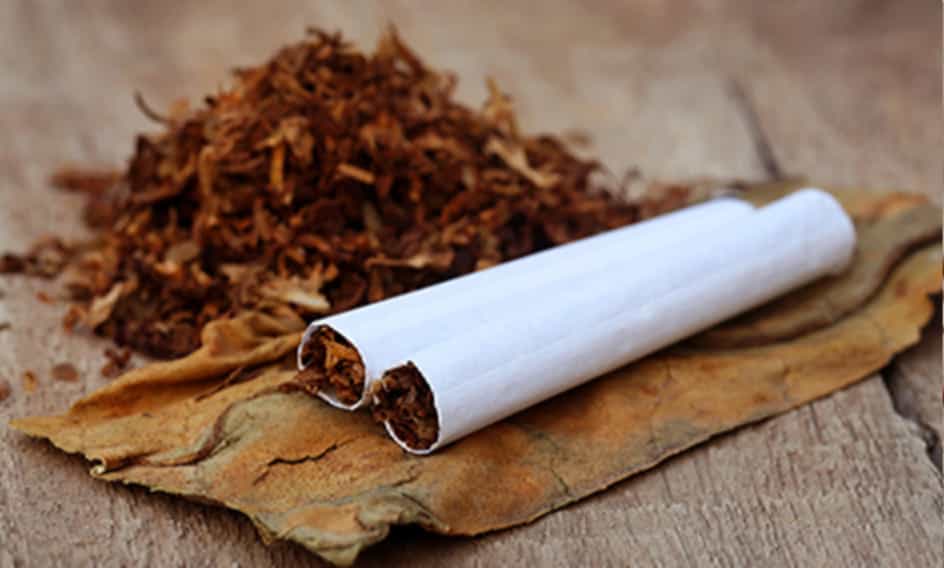 Cut tobacco ready for rolling